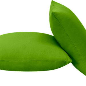 Luxury Plain Apple Green cushion